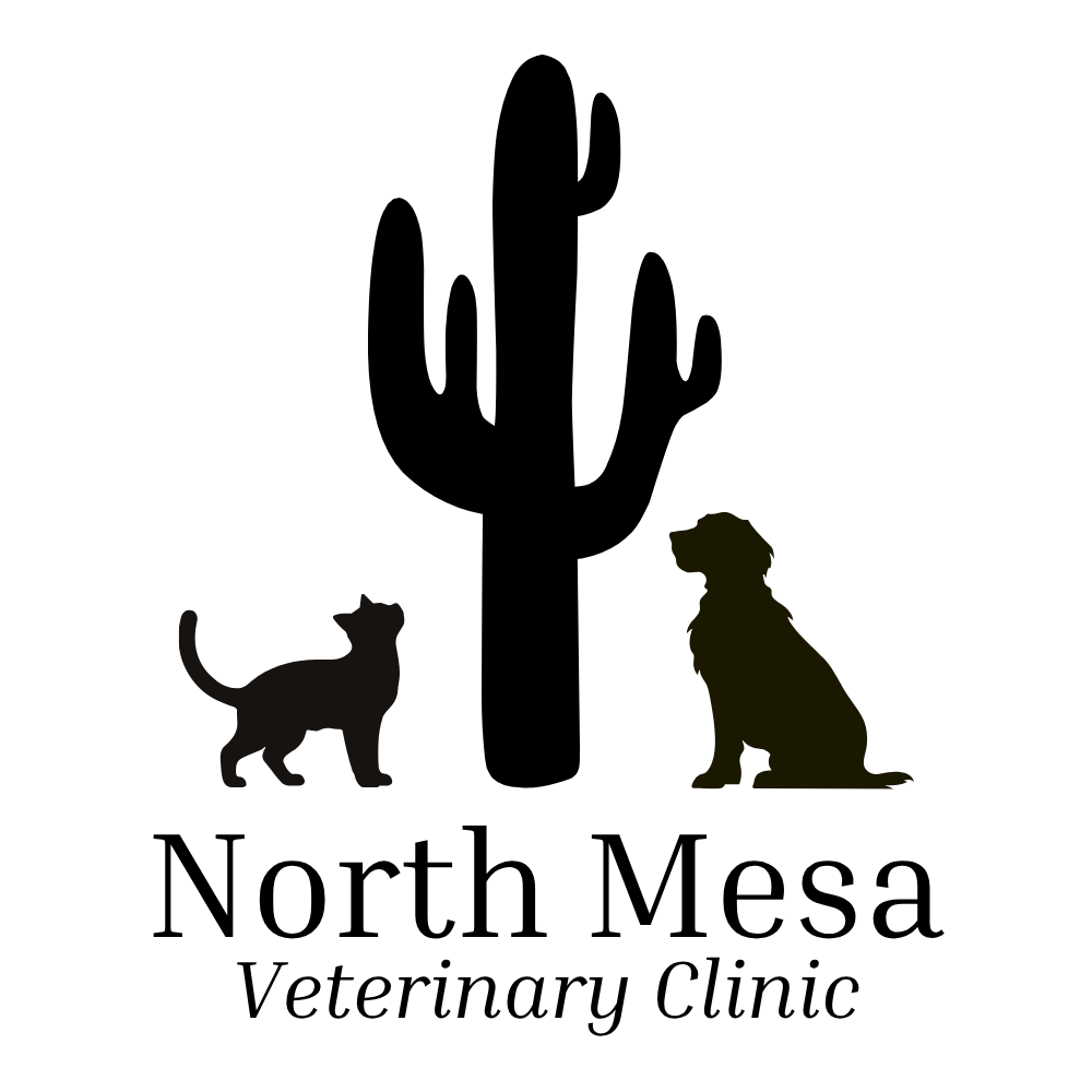 North Mesa Veterinary Clinic